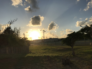 B8FDDA33-8943-4F29-98AD-7903FA7D3CA2.jpg